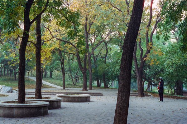 Can Daily Probiotic Intake Help Alleviate Inflammation in Ulcerative Colitis Patients?